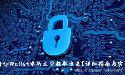 如何将tpWallet中的文件提取出来？详细指南与实用技巧