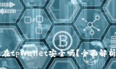 比特币存放在tpWallet安全吗？全面解析与风险防范