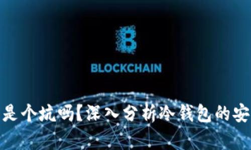 冷钱包真的是个坑吗？深入分析冷钱包的安全性与风险