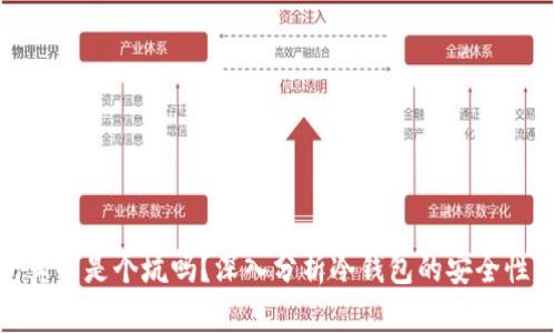 冷钱包真的是个坑吗？深入分析冷钱包的安全性与风险