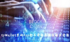 tpWallet里的App打不开的原因及解决方法