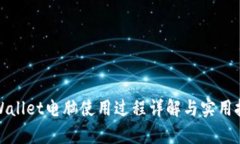 tpWallet电脑使用过程详解与实用技巧