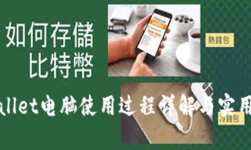 tpWallet电脑使用过程详解与实用技巧