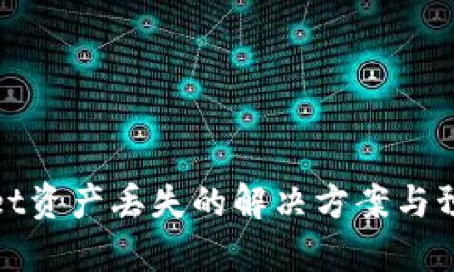 tpWallet资产丢失的解决方案与预防措施