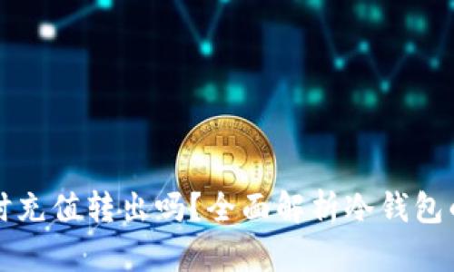 冷钱包能实时充值转出吗？全面解析冷钱包的功能与应用