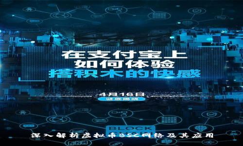 深入解析虚拟币BSC网络及其应用