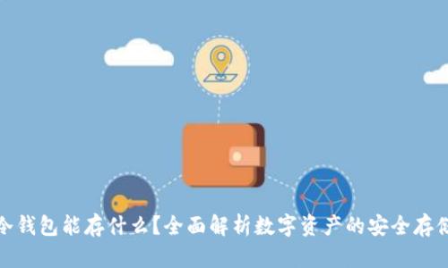 冷钱包能存什么？全面解析数字资产的安全存储