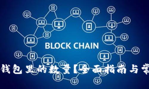 怎么查看冷钱包里的数量？全面指南与常见问题解析