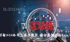 详解XCH冷钱包操作教程：安全存储你的Chia币