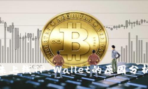 : 苹果商店未上线TP Wallet的原因分析与替代选择