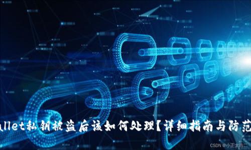 tpWallet私钥被盗后该如何处理？详细指南与防范措施