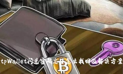 tpWallet闪兑密码忘了怎么找回及解决方案