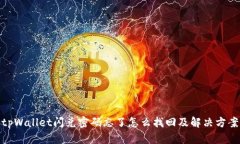 tpWallet闪兑密码忘了怎么找回及解决方案