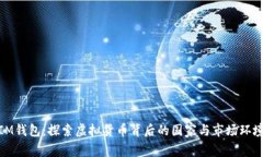 IM钱包：探索虚拟货币背后的国家与市场环境