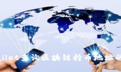 使用tpWallet查询区块链持币地址的全面指南