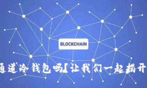 你知道什么是通道冷钱包吗？让我们一起揭开它的神秘面纱！